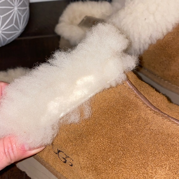 3/$60 UGG Disquette Chestnut Shearling Lined Mules Size 7 - Picture 13 of 15